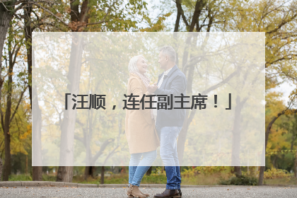 汪顺，连任副主席！